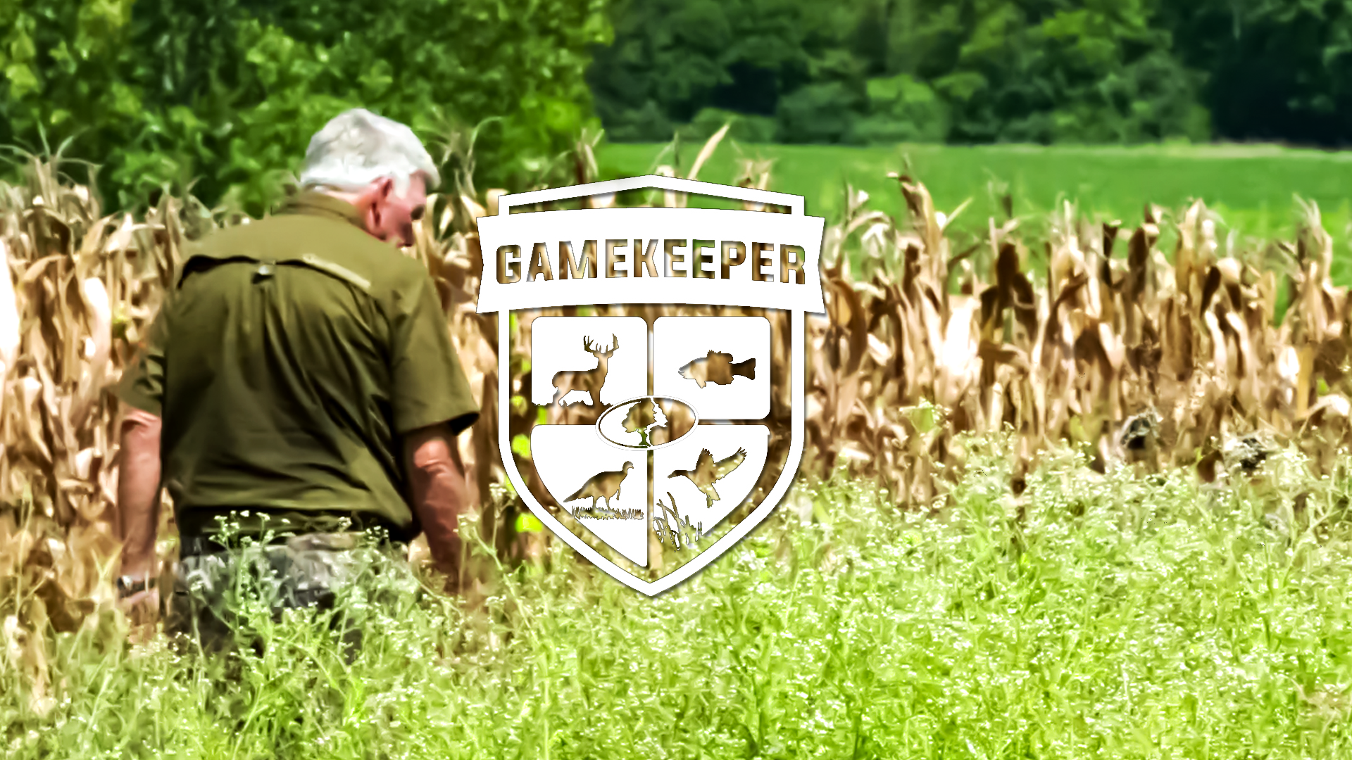 Doves and Dogs • Alabama Dove Hunting with the Dove Czar