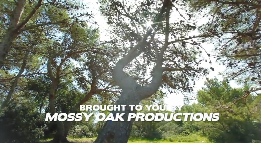 Little Yelpers, Part 1 • Kids and Turkeys in Texas