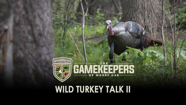 Wild Turkey Talk II • Gamekeepers