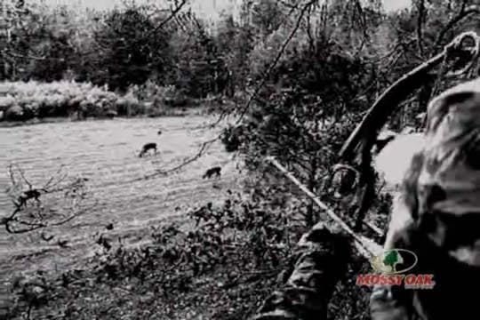 Mississippi River Blues • Bowhunting ...