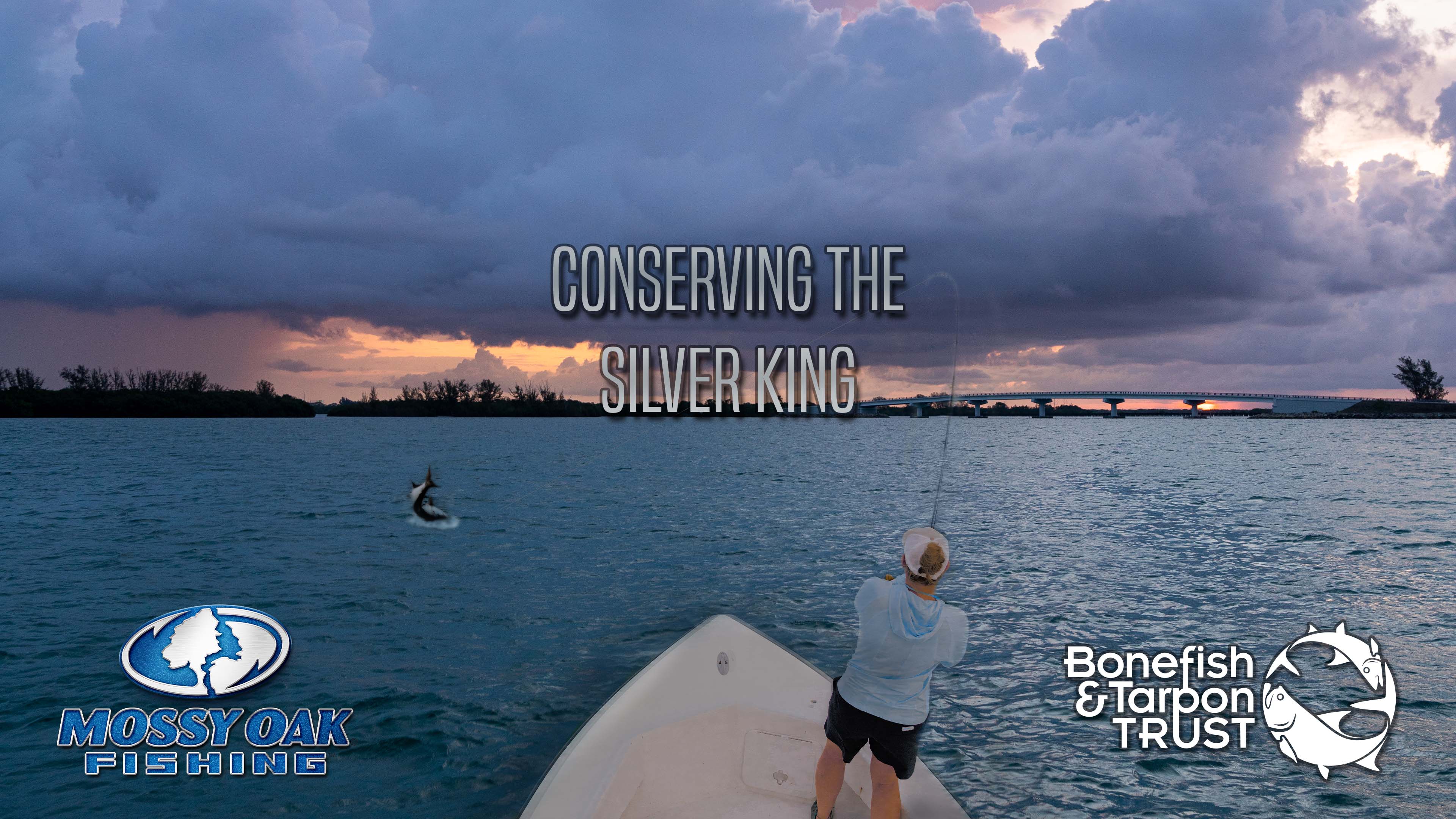 Conserving the Silver King • Bonefish &Tarpon Trust