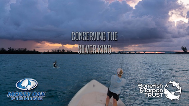 Conserving the Silver King • Bonefish &Tarpon Trust