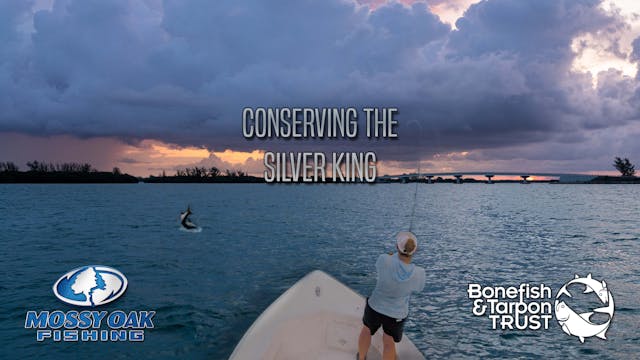Conserving the Silver King • Bonefish...