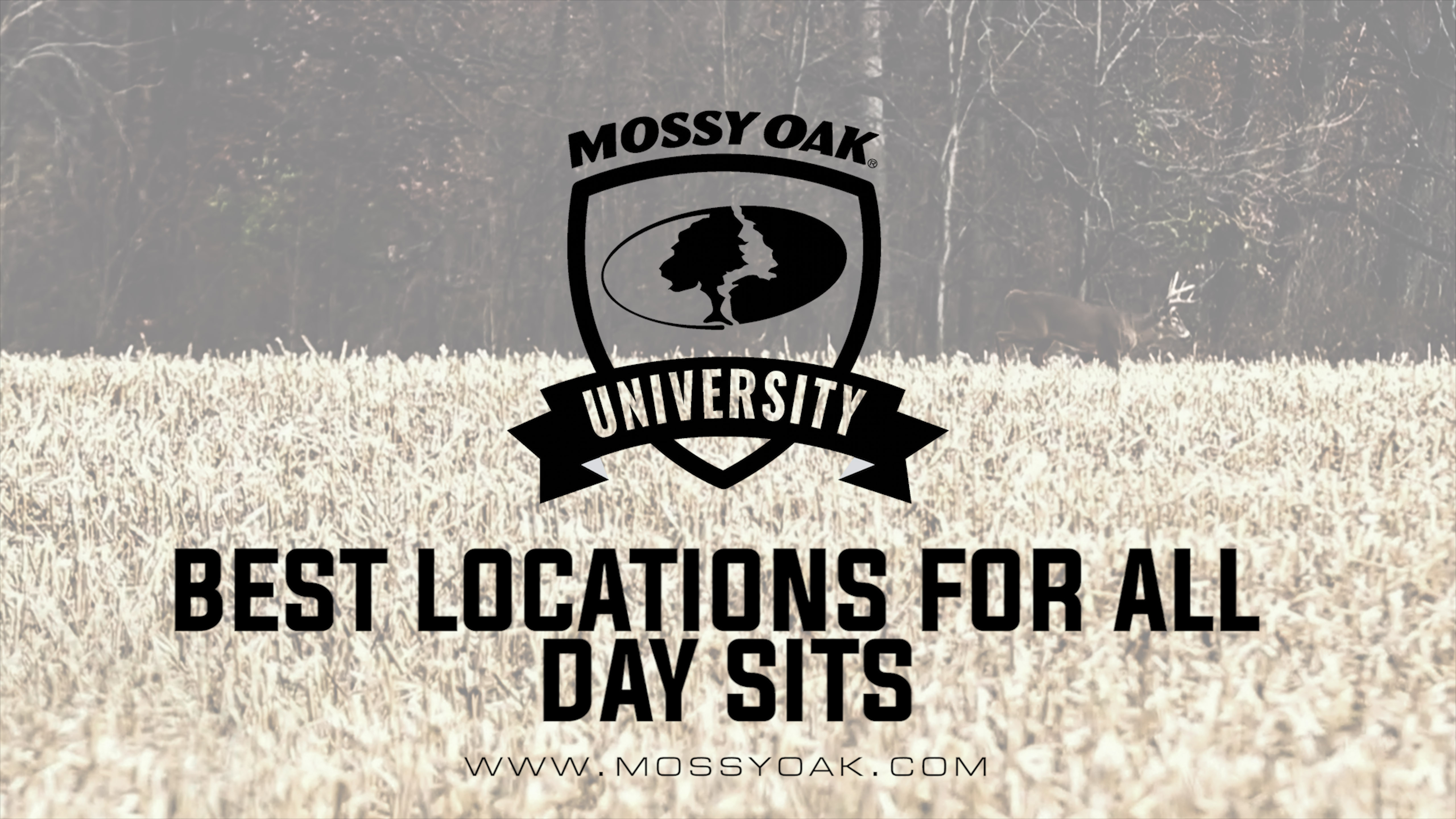 Best All Day Hunting Locations During The Rut