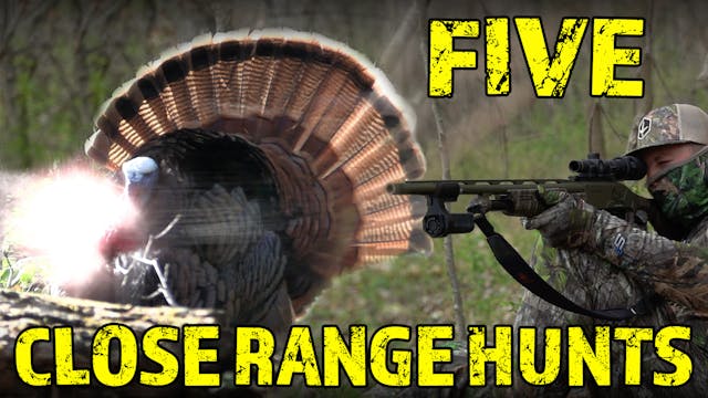 How Close Can They Get?! 5 Epic Hunts...