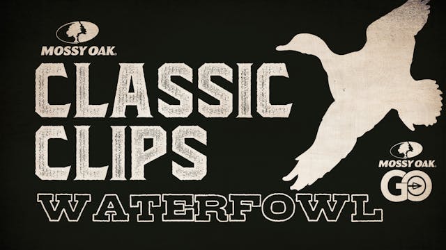 Classic Clips Waterfowl