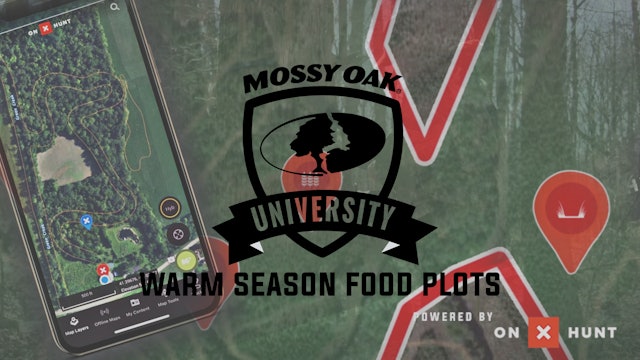 Why Plant Warm Season Food Plots? • Mossy Oak University x OnX Hunt