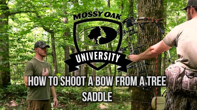 How to Shoot a Bow From a Tree Saddle