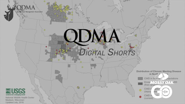 Chronic Wasting Disease Prevention • ...