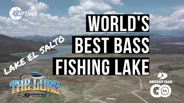 Lake El Salto • The Lure