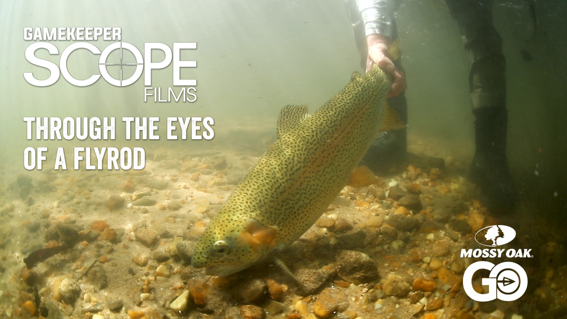 Through the Eyes of a Flyrod • Gamekeeper Scope Films