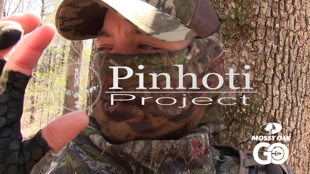 Kentucky Hardwoods Turkey Hunting • Surprise Longbeards • Pinhoti Project Day 42