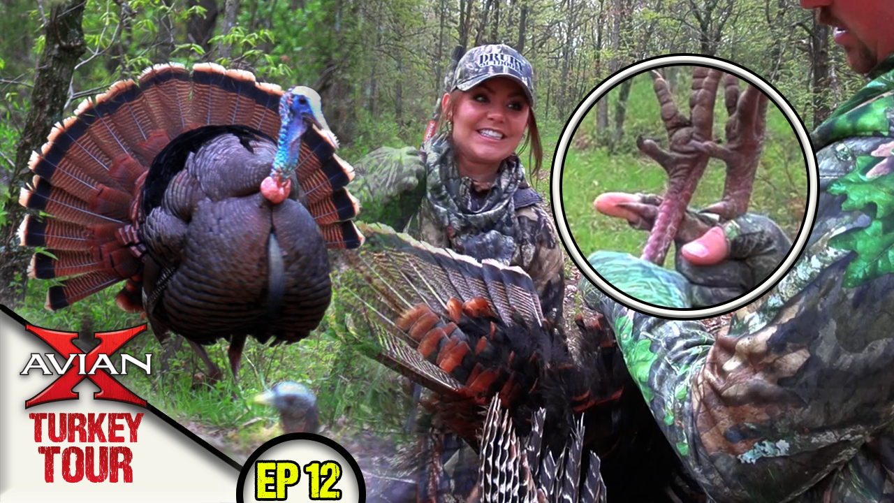 LARGEST Spurs Ever on a DOD Gobbler! • Avian X Turkey Tour