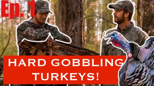 Crazy Gobbling Turkeys • 21 South