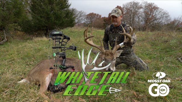Iowa • Whitetail Edge