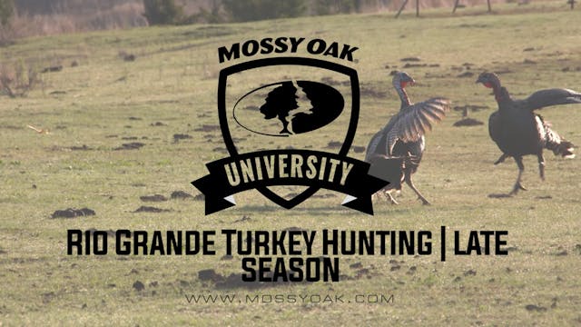 Rio Grande Turkey Hunting | Late Season