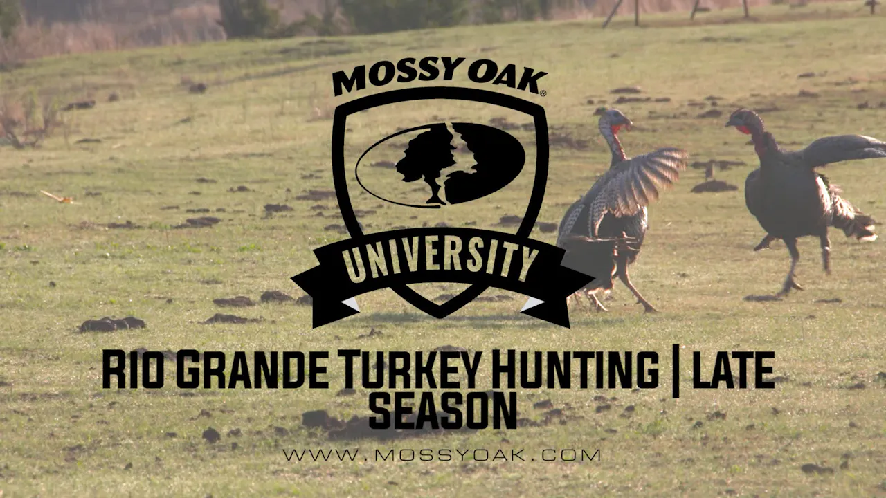 Rio Grande Turkey Hunting Late Season Mossy Oak GO