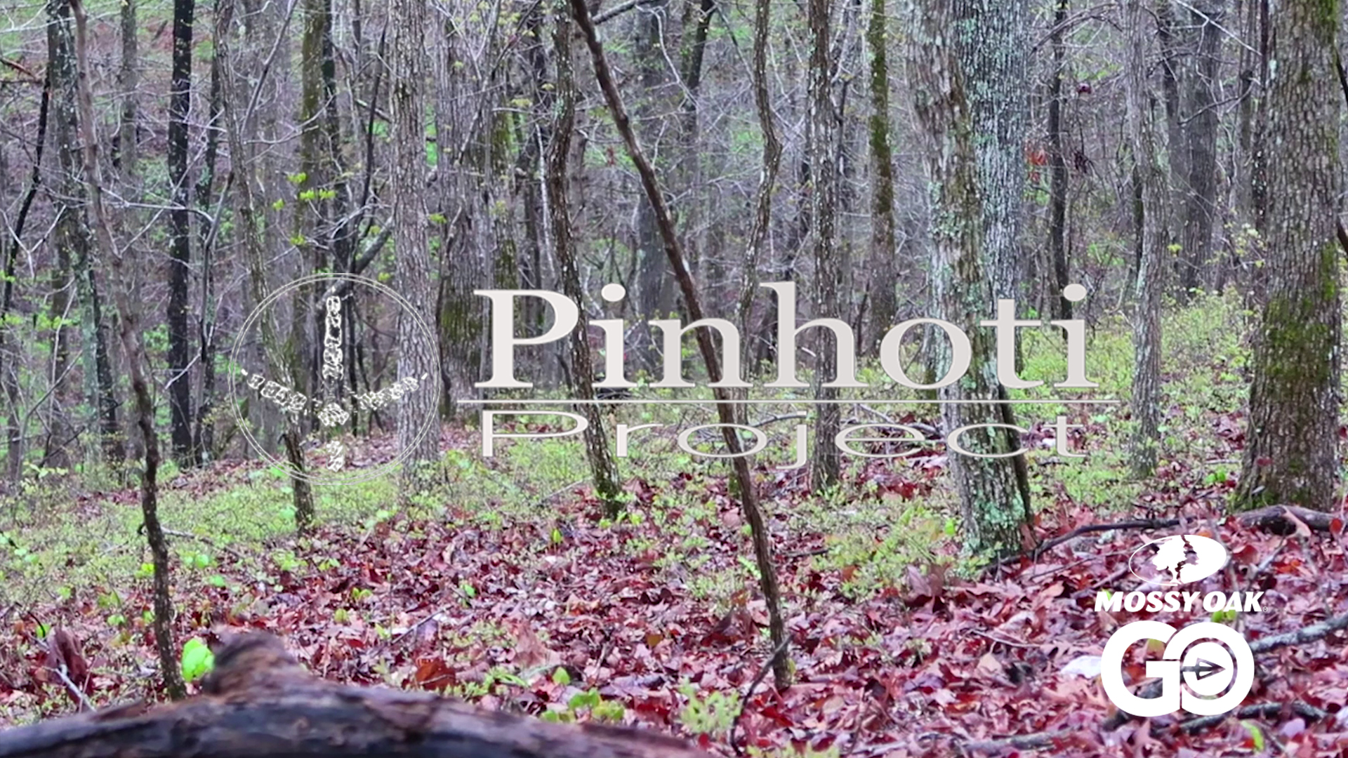 Solo Hunting • Pinhoti Project Day 32