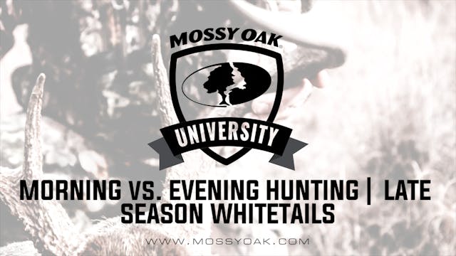 Morning vs. Evening Hunting • Late Se...