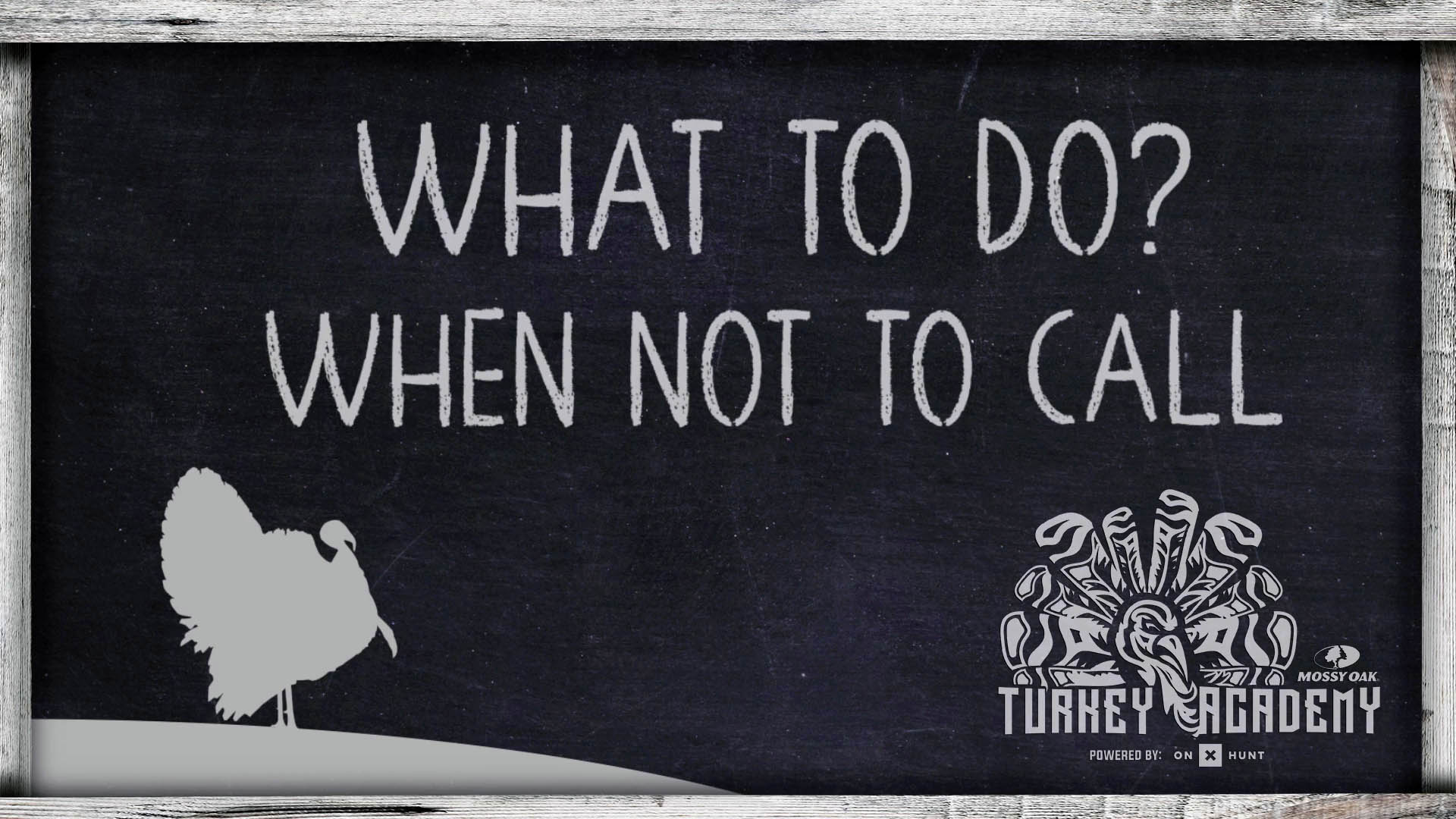 OnX Turkey Academy • Lesson 19 | When Not To Call - What To Do