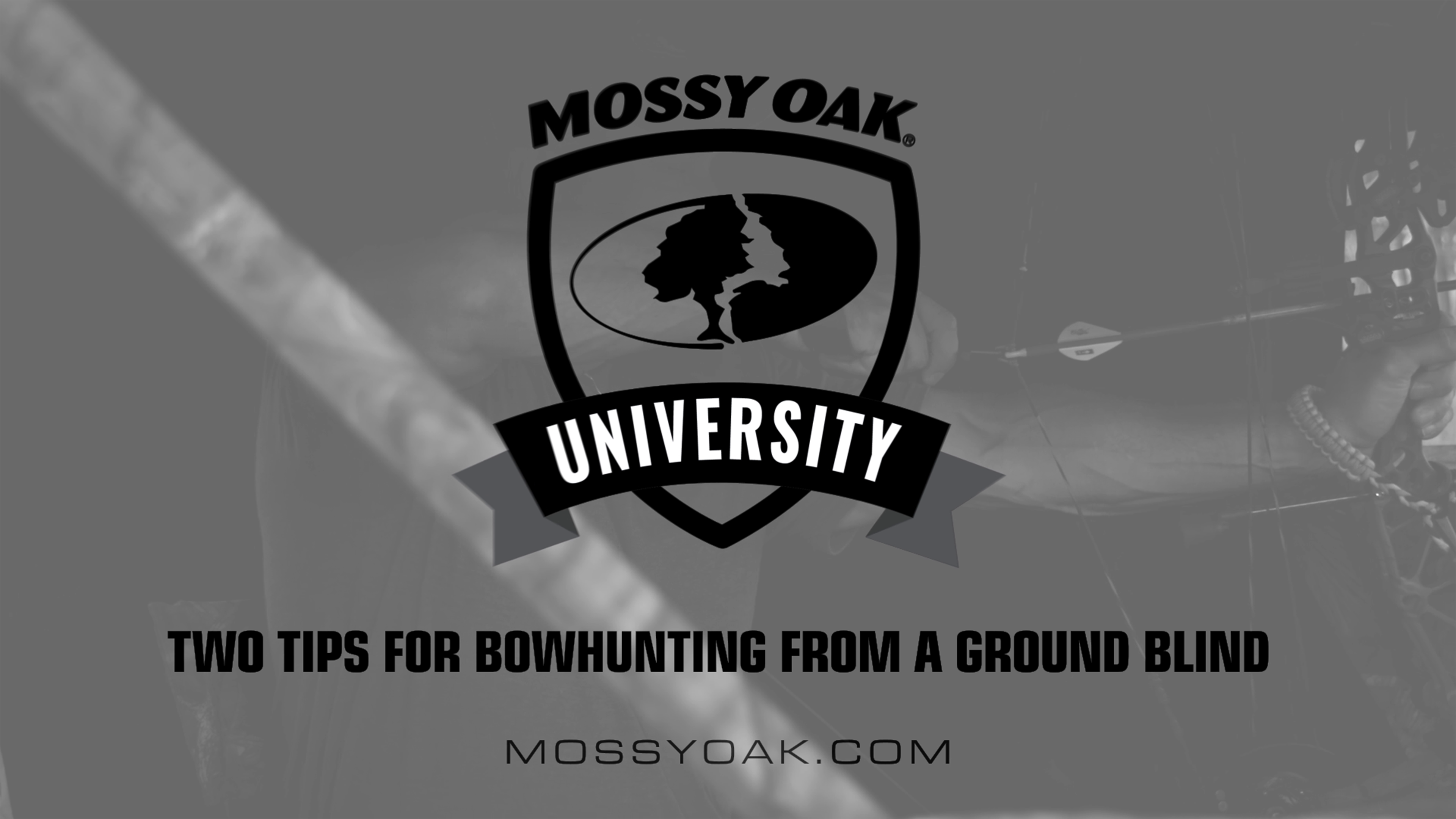 Bowhunting from Ground Blinds • 2 Two Tips