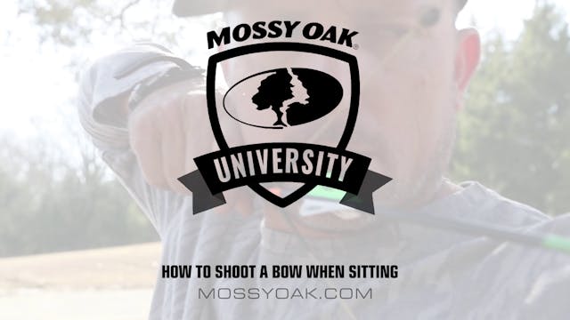 How to Shoot a Bow When Sitting