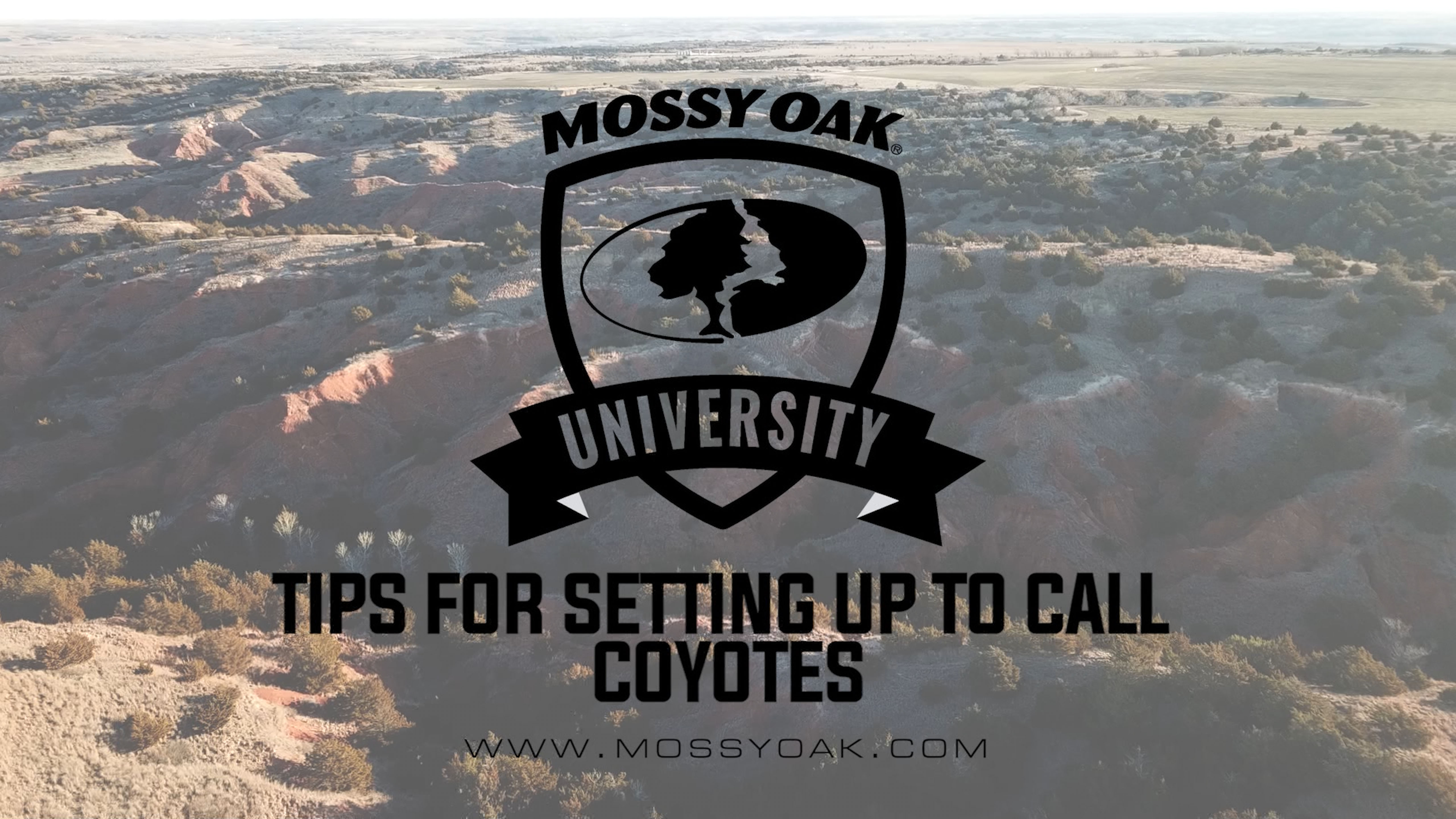 Setting Up To Call Coyotes