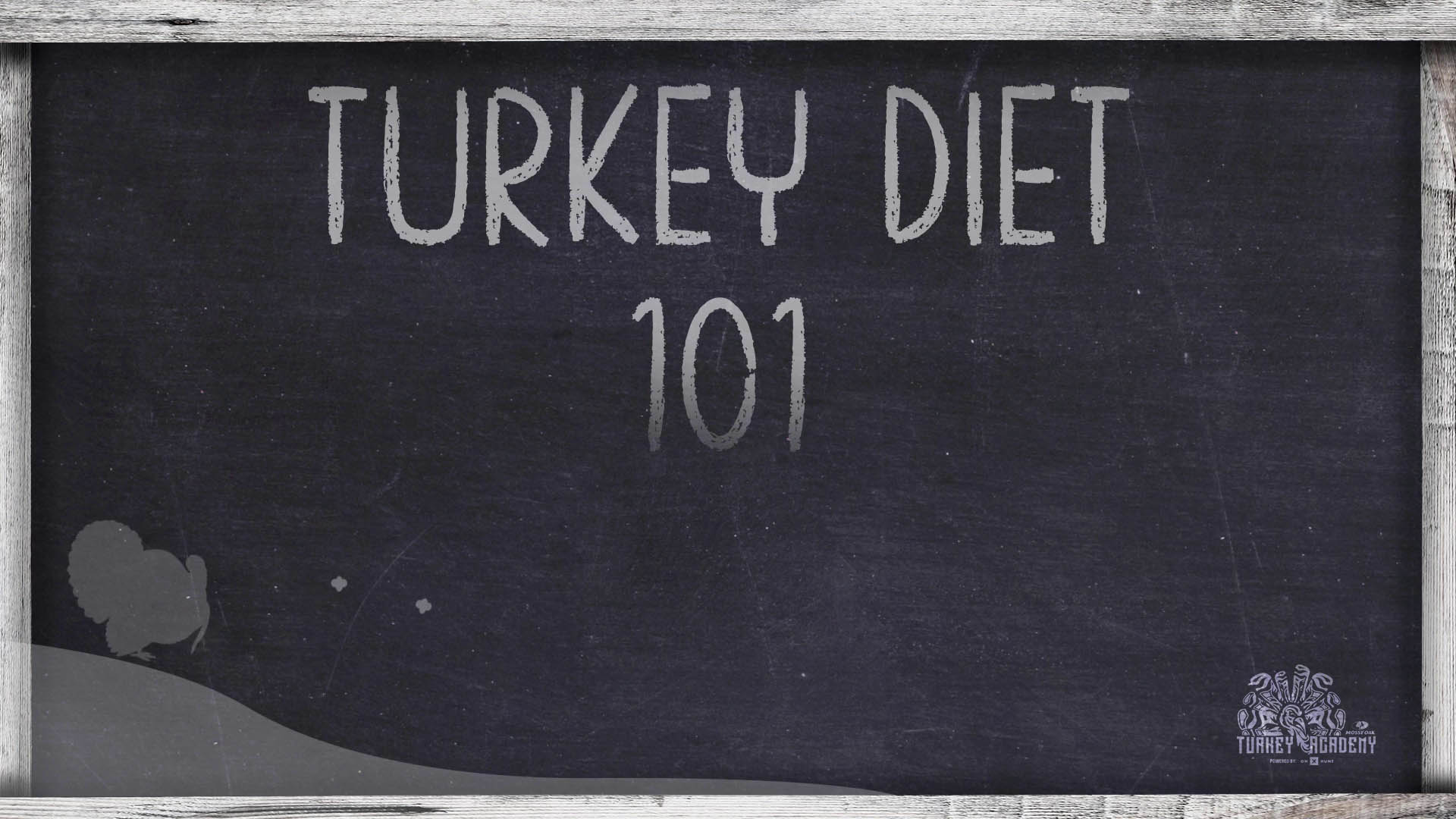OnX Turkey Academy • Lesson 5 | Turkey Diet