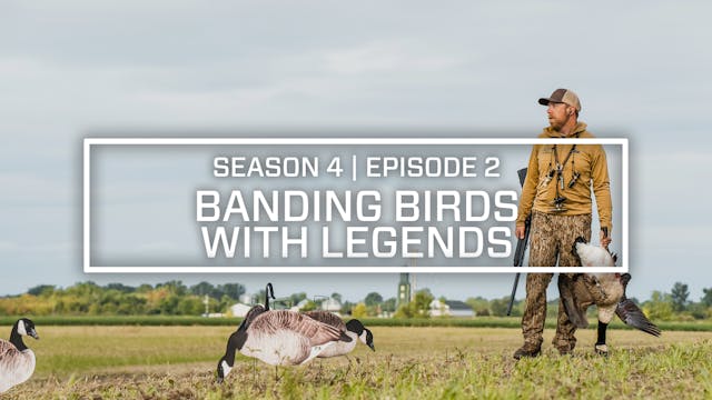 Last Pass Episode 2 • Banding Birds W...