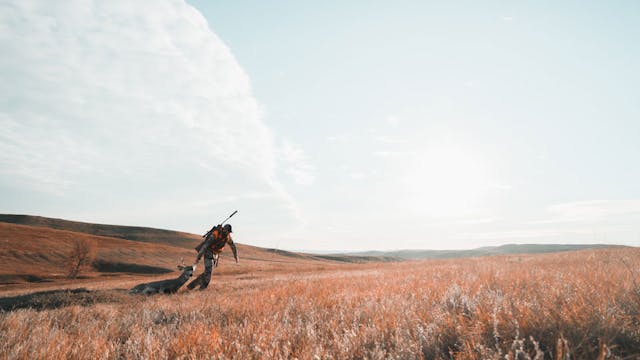 Boot Leather & Bucks • The Hunger