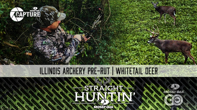 Illinois Bow Hunt • Pre-Rut Bucks • Straight Huntin'
