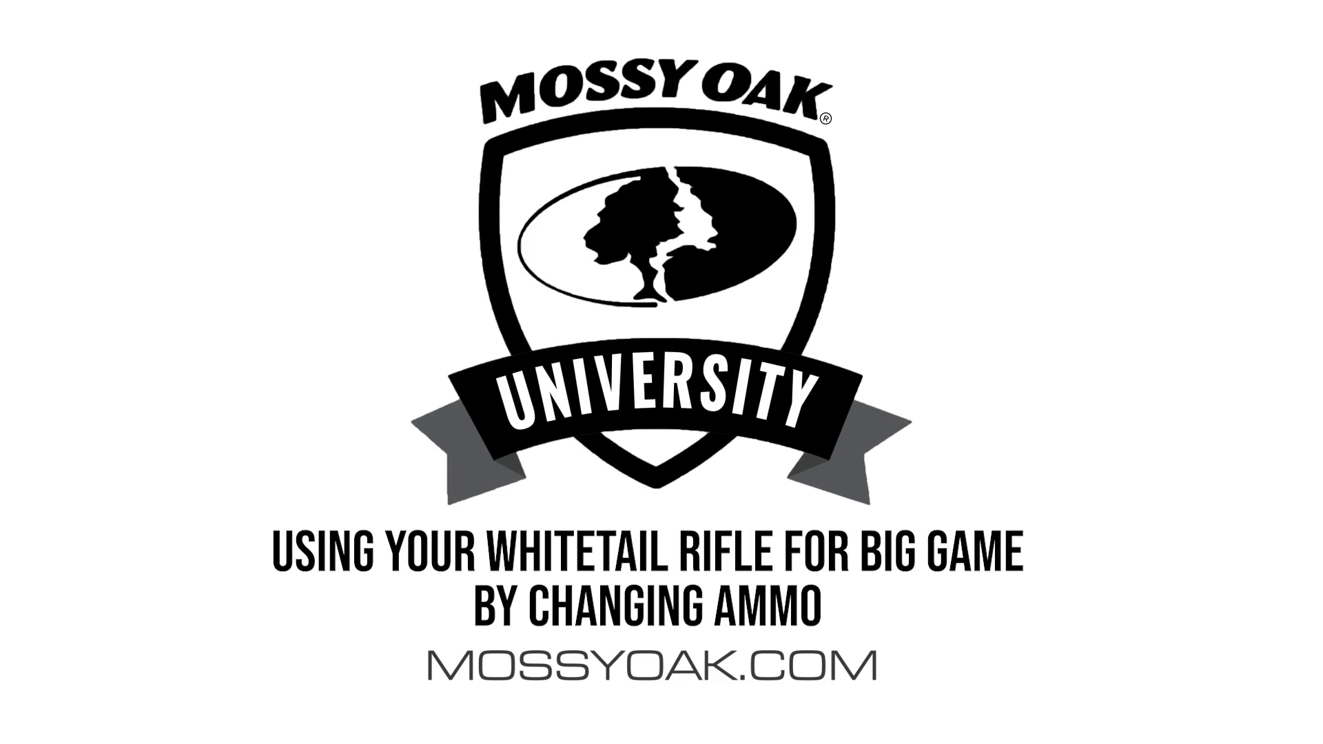 Change Your Ammo for Larger Game Success