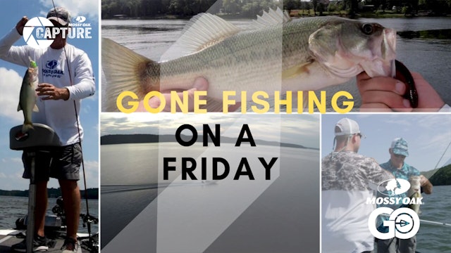 Gone Fishing on a Friday at Pickwick Lake • The Lure