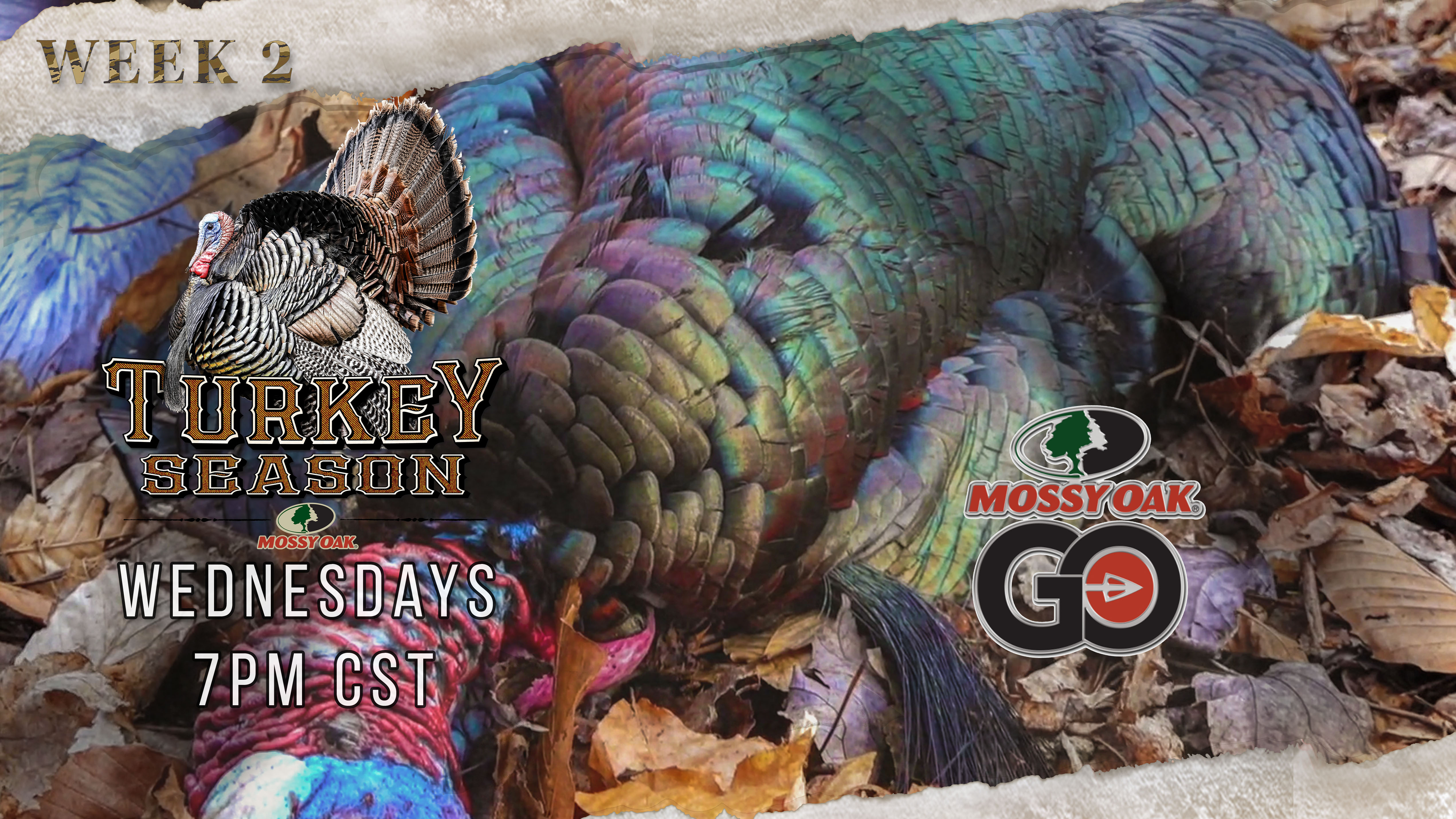 Mossy Oak Moments • Turkey Season 3.8.2023 Replay