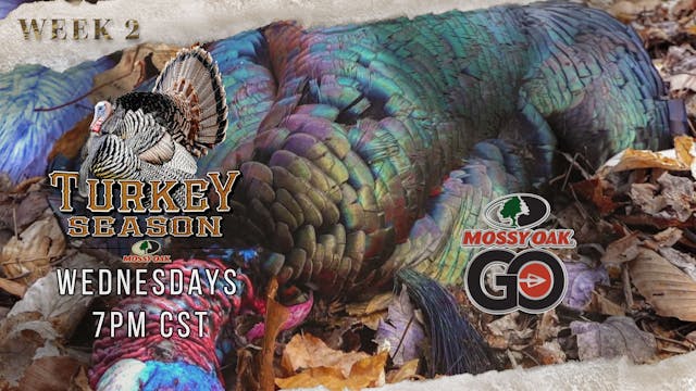 Mossy Oak Moments • Turkey Season 3.8...