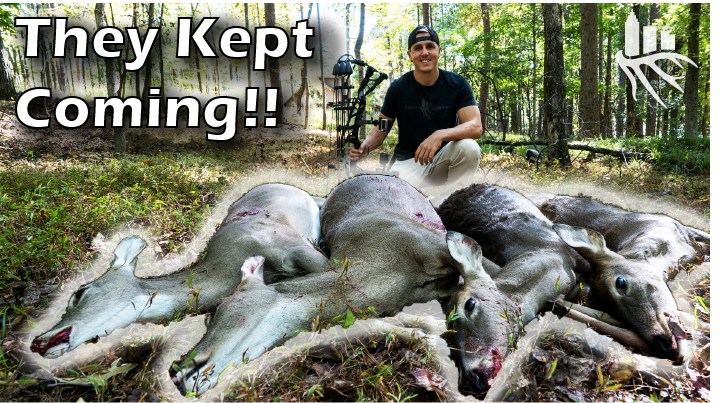 Doe Management • The Season