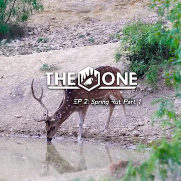 Spring Rut Part 1 • The One
