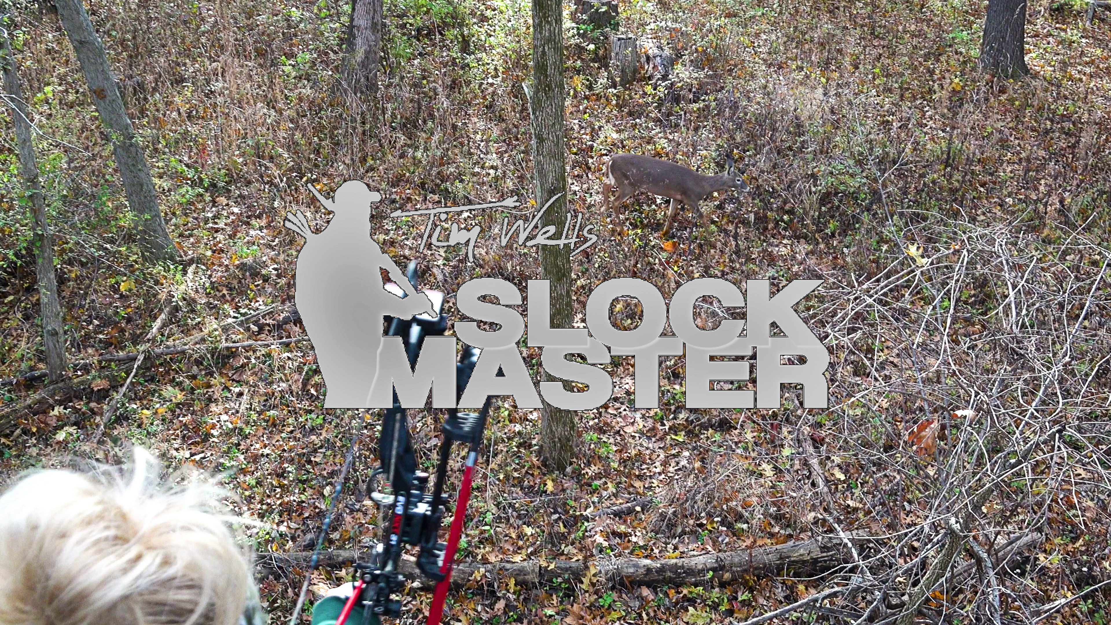 Live Another Day • Tim Wells Collection