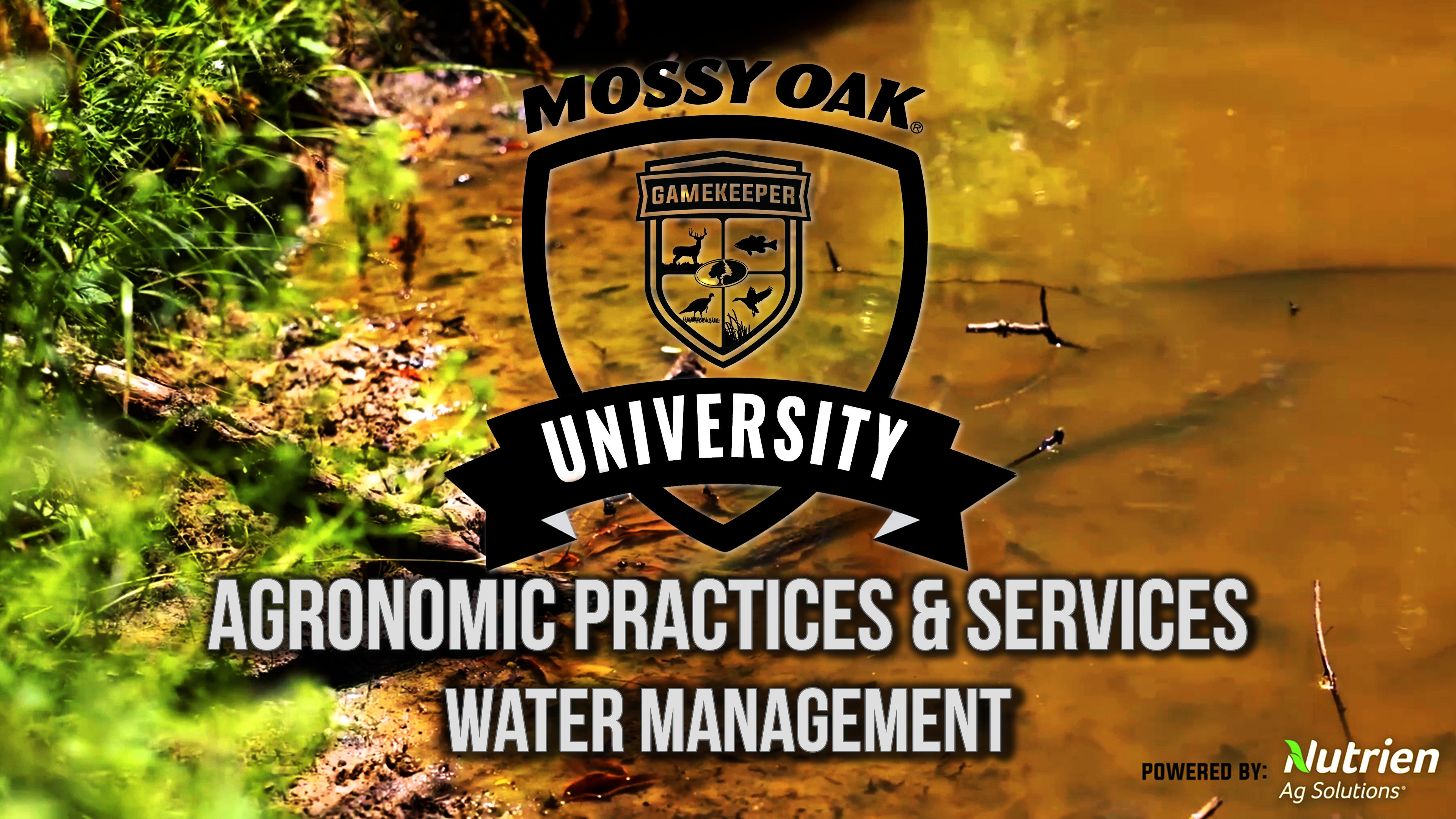 Agronomic Practices & Services: Water Management