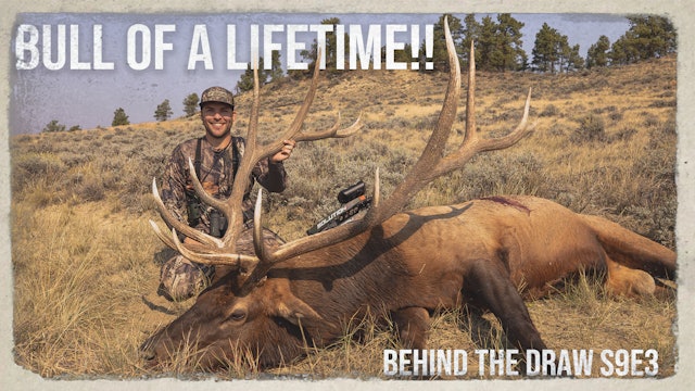 Bull Elk of a LIFETIME... WITH A BOW!! • Heartland Bowhunter • Behind the Draw