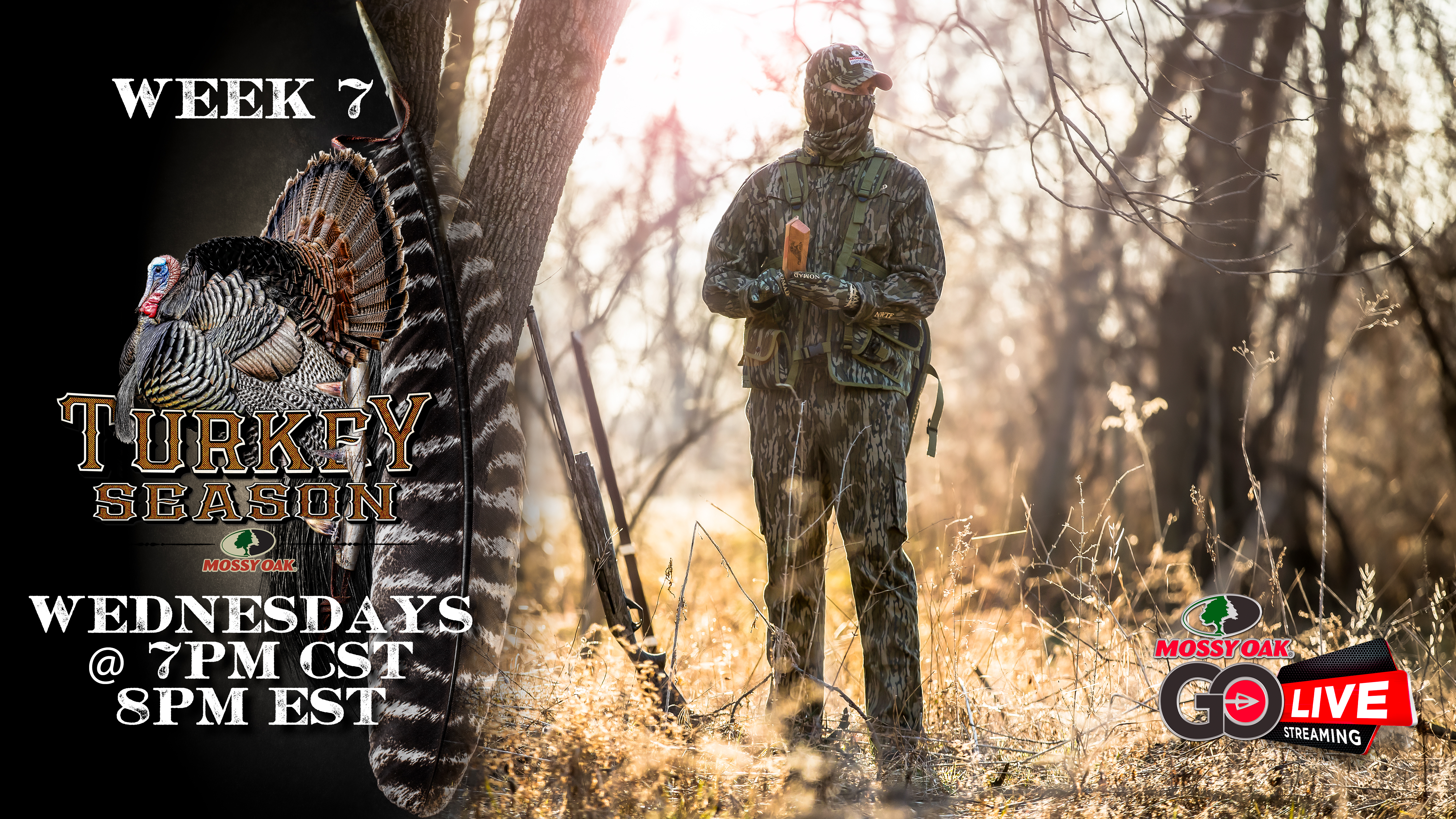 LIVE: 4.8.2020 Turkey Season Replay