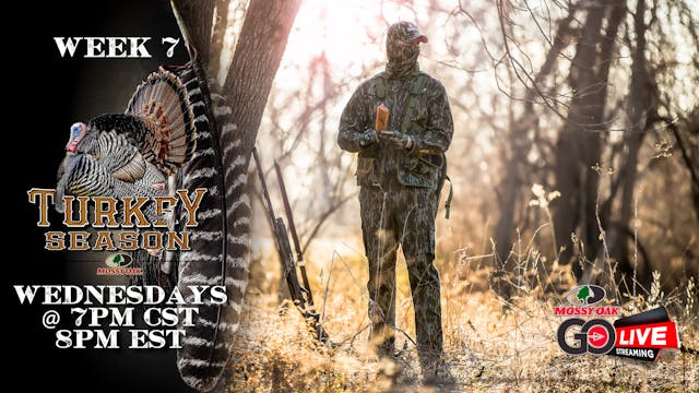 LIVE: 4.8.2020 Turkey Season Replay
