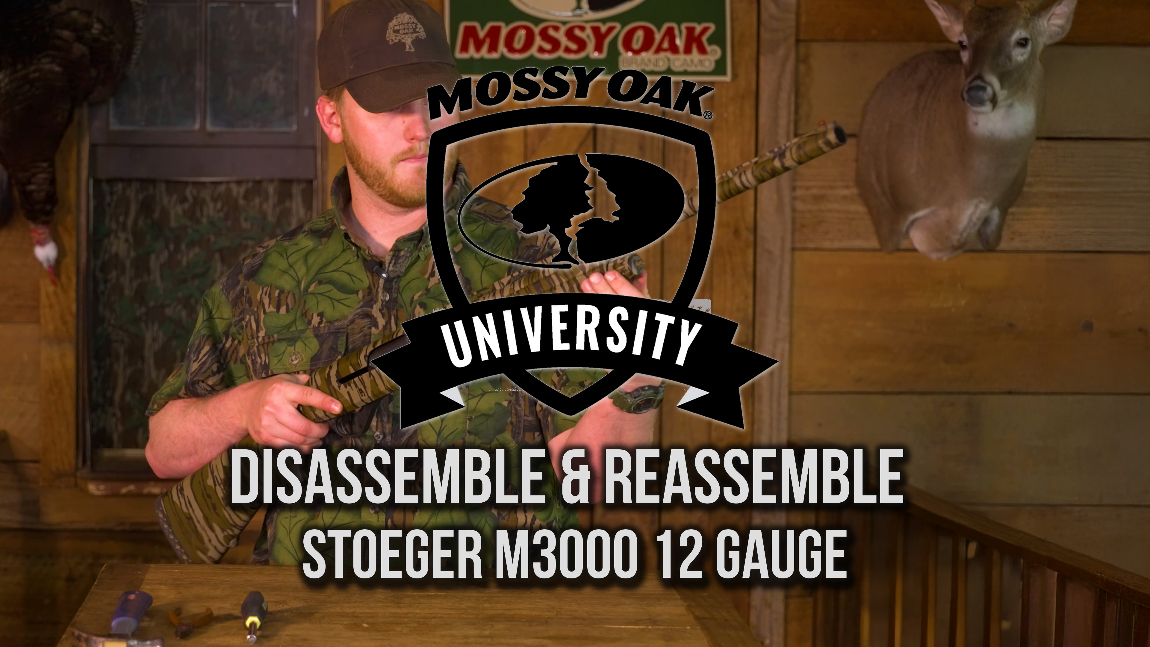Disassemble & Reassemble Stoeger M3000 12 Gauge