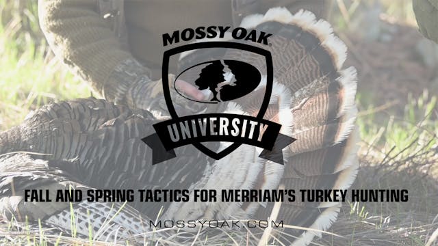 Fall and Spring Tactics for Merriam’s...