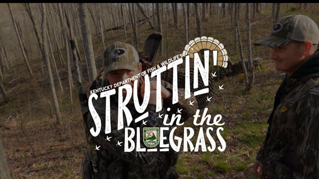 Struttin' In The Bluegrass