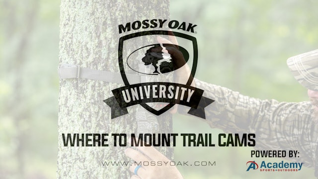 Where To Mount Trail Cameras