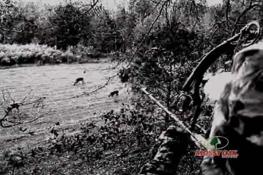 Calling All Critters • Whitetail Hunt...