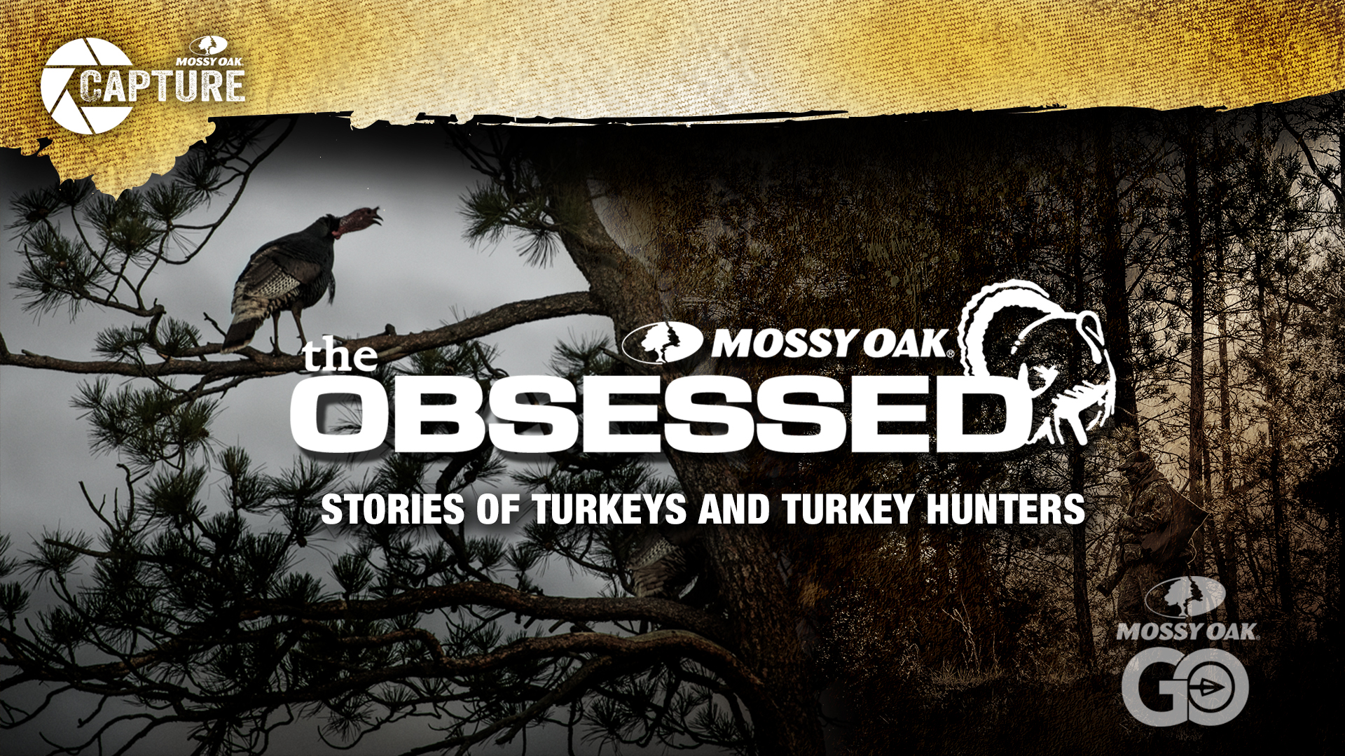 The Obsessed • Turkey