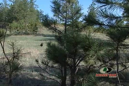 Western Plains Mixed Bag • Hunting Tu...