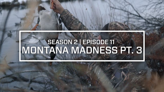 Last Pass Episode 11 • Montana Madnes...